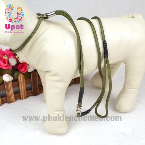 Dây dắt show không vòng cổ