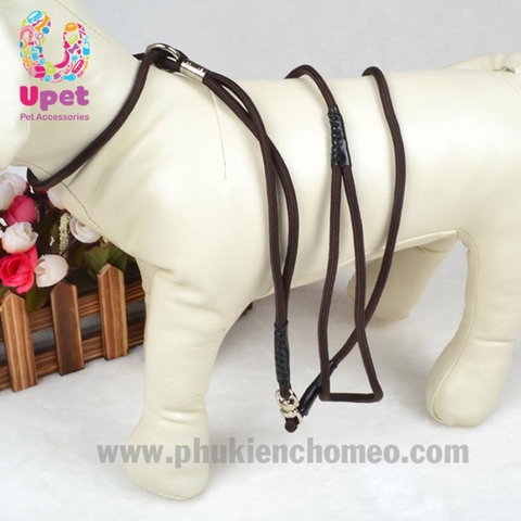 Dây dắt show không vòng cổ