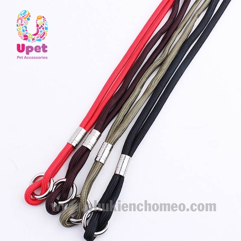 Dây dắt show không vòng cổ