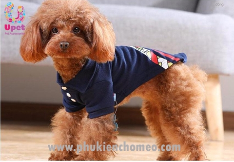 Áo sơ mi POLO thanh niên xéo