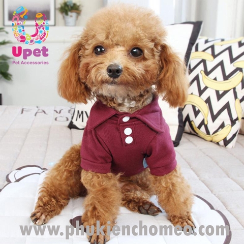 Áo sơ mi POLO thanh niên xéo