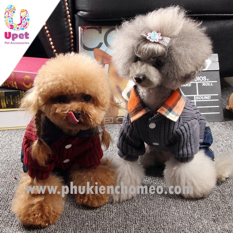 Áo somi kẻ sọc giả
