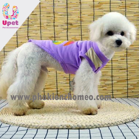 Áo vest tương phản