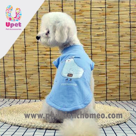 Áo vest tương phản