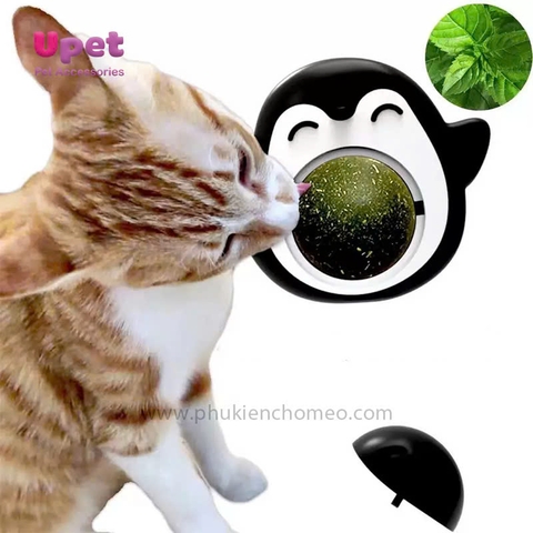 Đồ chơi cỏ catnip chim cánh cụt dán tường CC
