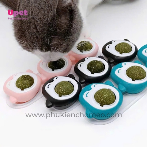 Đồ chơi cỏ catnip chim cánh cụt dán tường CC