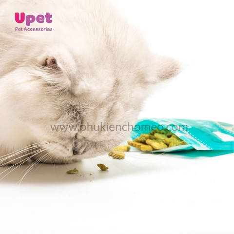 Bánh Thưởng Cho Mèo Catnip Biscuit 40g