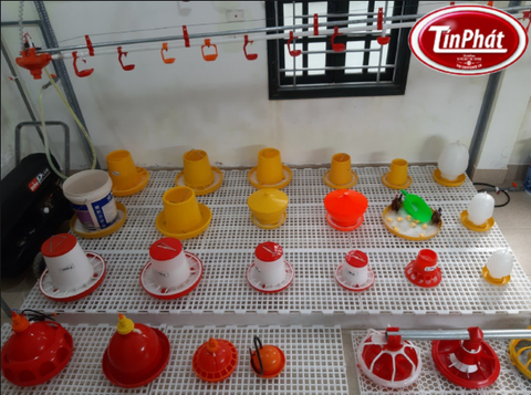 Máng ăn cho gà - Giải pháp tối ưu cho chăn nuôi gà