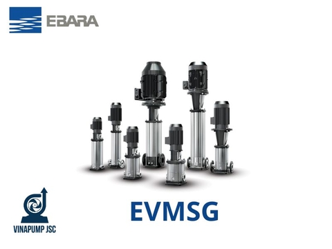BẢNG GIÁ BƠM TRỤC ĐỨNG EVMSG EBARA MỚI NHẤT 2026