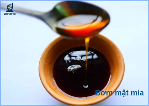 Bơm mật mía: Công dụng, thông số kỹ thuật và bảng giá chi tiết mới nhất