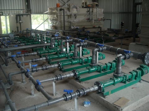 Cách chọn bơm trục vít