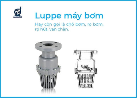 Luppe là gì? Cấu tạo Luppe và phân loại Luppe máy bơm