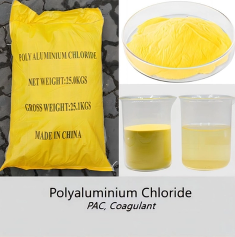 Bơm định lượng hóa chất PAC 