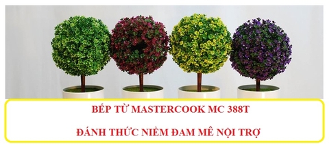 Bếp từ Mastercook MC 388T dịu dàng sang trọng Hàn Quốc