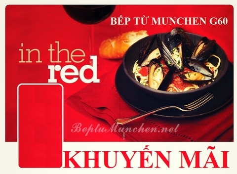 Rủ nhau đi mua bếp từ Munchen và bếp từ Chefs