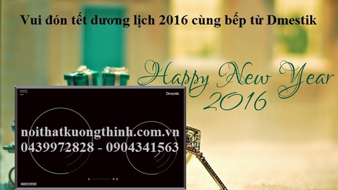 Vui đón tết dương lịch 2016 cùng bếp từ Dmestik
