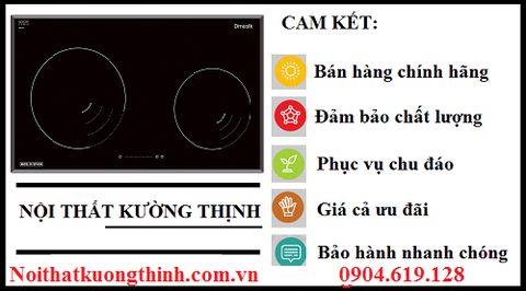 Địa chỉ cung cấp bếp từ Dmestik NA 772IB uy tín