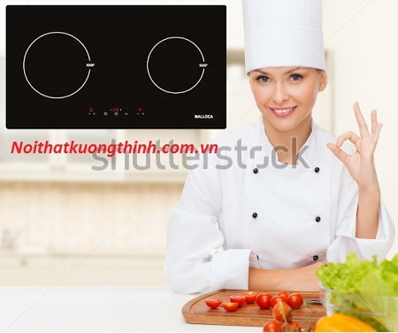 Bếp từ Malloca MH 02I sức cuốn hút không thể chối từ 