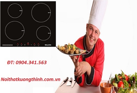 Tại sao bạn nên chọn bếp từ Malloca MH 04I