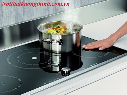Những mẫu bếp từ 3 đáng chú ý 