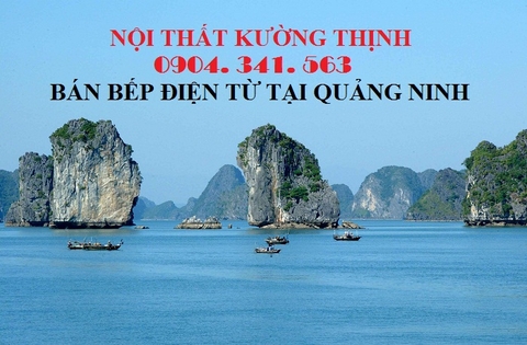 Địa chỉ mua bếp điện từ tại Quảng Ninh