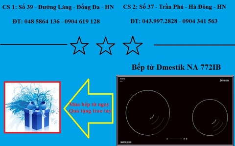 Bếp từ Dmestik dùng có được không ?