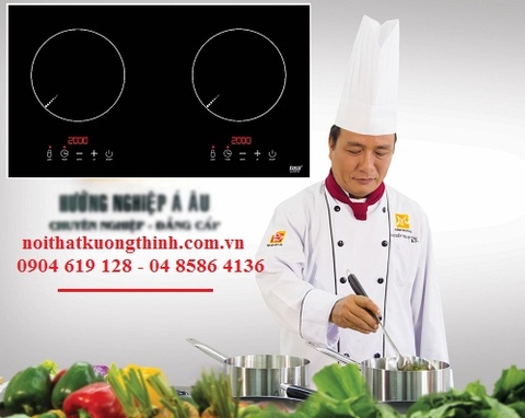 Nên chọn mua bếp từ Lorca hay không?