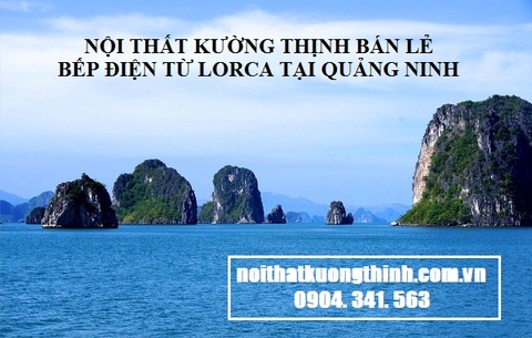 Địa chỉ bán bếp điện từ Lorca tại Quảng Ninh