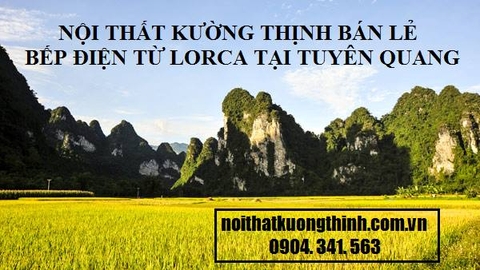 Địa chỉ mua bếp điện từ Lorca tại Thái Nguyên, Tuyên Quang