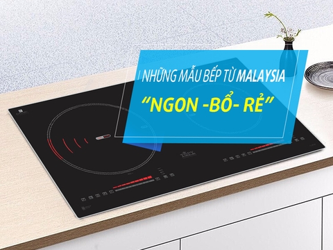 Những mẫu bếp từ nhập khẩu Malaysia 