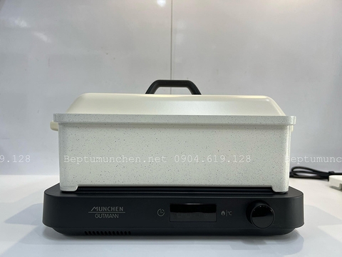 Bếp từ Munchen GMC850