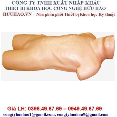 MÔ HÌNH CHỌC DỊCH Ổ BỤNG GD/L261 HONGLIAN
