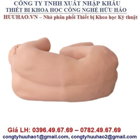 MÔ HÌNH CHỌC DÒ TỦY SỐNG NGƯỜI LỚN GD/L68A.100