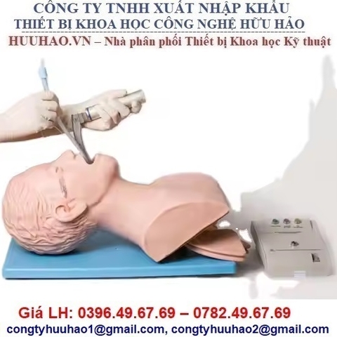 MÔ HÌNH ĐẶT NỘI KHÍ QUẢN NGƯỜI LỚN BÁN THÂN GD/J5S