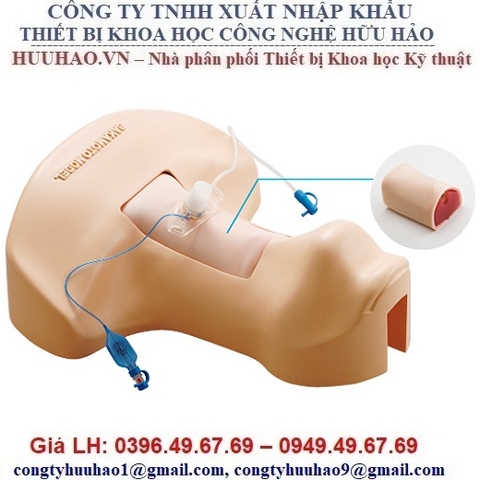 MÔ HÌNH MỞ NỘI KHÍ QUẢN, ĐẶT KHÍ QUẢN M172 SAKAMOTO