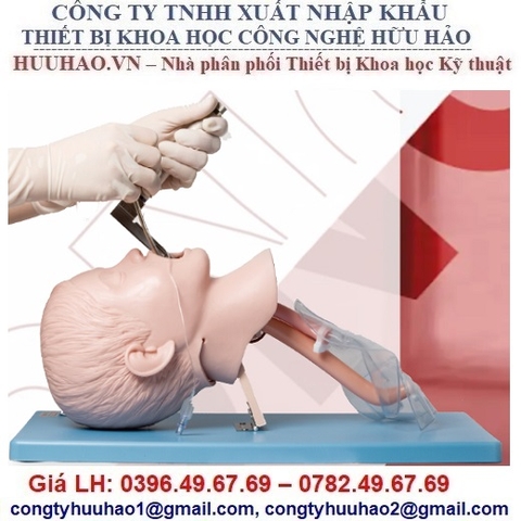 MÔ HÌNH ĐẶT NỘI KHÍ QUẢN TRẺ EM CAO CẤP GD/J16