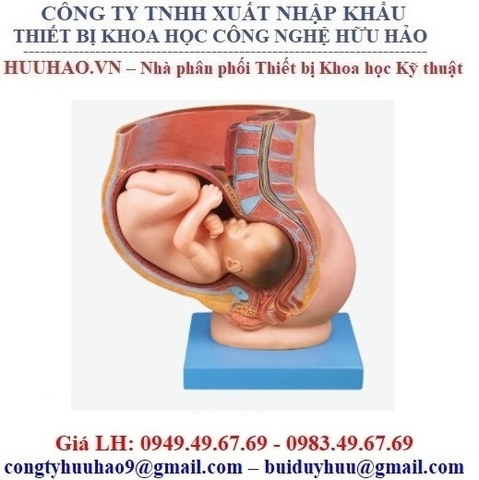 BẢNG GIÁ MÔ HÌNH GIẢNG DẠY THỰC HÀNH SẢN KHOA