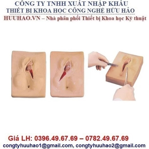MÔ HÌNH MÔ PHỎNG KHÂU TẦNG SINH MÔN GD/F3B