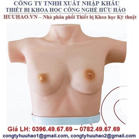 MÔ HÌNH THỰC HÀNH KIỂM TRA VÚ NÂNG CAO