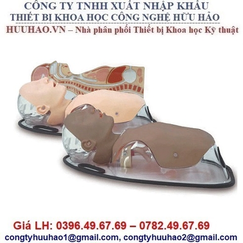 MÔ HÌNH ĐẶT SONDE, NUÔI ĂN VÀ RỬA DẠ DÀY MW8