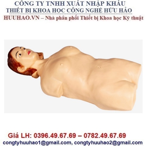 MÔ HÌNH KHÁM THAI VÀ NGHE TIM THAI GD/Z980A