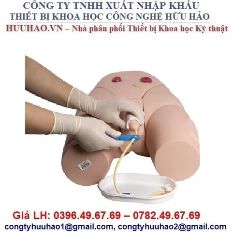 MÔ HÌNH ĐẶT ỐNG THÔNG TIỂU NAM GD/H17E