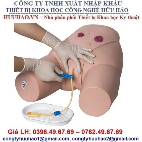 MÔ HÌNH ĐẶT ỐNG THÔNG TIỂU NỮ GD/H17F