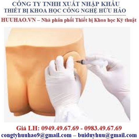 MÔ HÌNH TIÊM BẮP MÔNG GD/HS10D