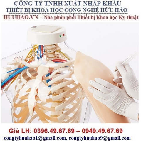 MÔ HÌNH TIÊM CƠ BẮP TAY CÓ CẢNH BÁO ĐIỆN TỬ M155