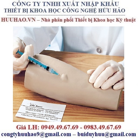 MÔ HÌNH THỰC HÀNH TIÊM TRONG DA LF01008 NASCO