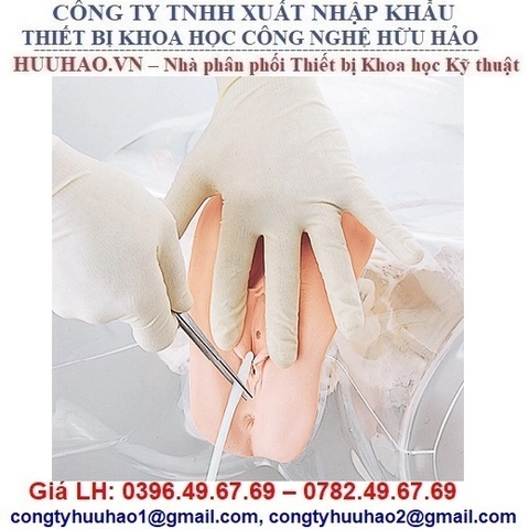 MÔ HÌNH ĐẶT ỐNG THÔNG TIỂU NỮ TRONG SUỐT GD/H16F