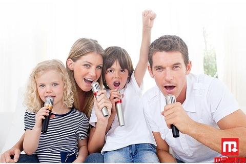 Loa kéo karaoke Malata 9037: Công suất khủng trong kích thước nhỏ