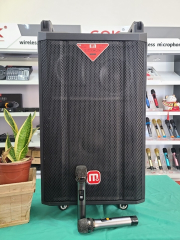 Nên mua loa kéo công suất lớn hay dàn karaoke gia đình trong dịp Tết?
