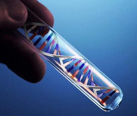 TÔI CÓ THỂ XÉT NGHIỆM DNA BẰNG TÓC KHÔNG?